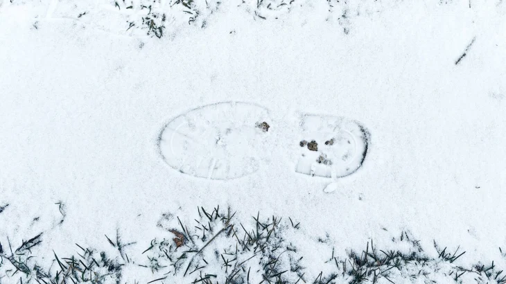 Синоптик Цыганков рассказал, когда Москву накроет снегом Синоптик Цыганков рассказал, когда Москву накроет снегом