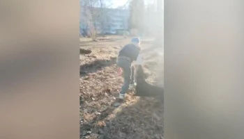 Собака набросилась на троих детей в Тверской области