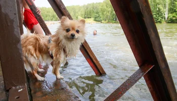 Климатолог Терешонок рассказал, когда в Москве наступит купальный сезон