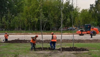 Более 3 тыс деревьев украсят вылетные магистрали и крупные улицы столицы осенью