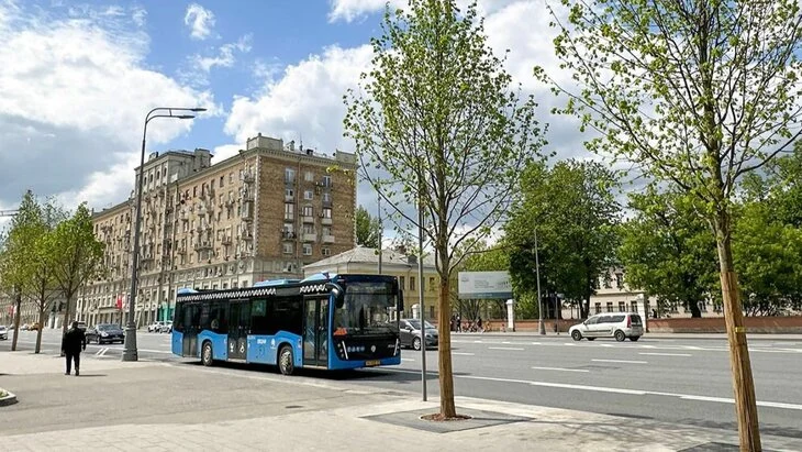 Собянин: более 400 деревьев высадили на исторической части Ленинского проспекта Собянин: более 400 деревьев высадили на исторической части Ленинского проспекта