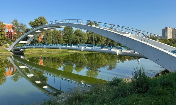 Парень и девушка прыгнули с моста в Черкизовский пруд в Москве