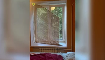 Ребенок выжил после падения из окна квартиры в Москве