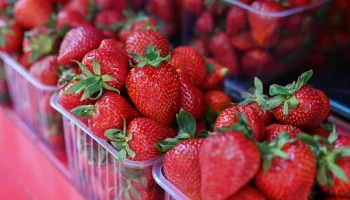 Эксперт Березнюк: клубника подешевела в России на 25&ndash;30% с начала весны