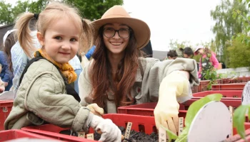 Парк вместо дачи: как организовать огородик в городе и сколько это стоит
