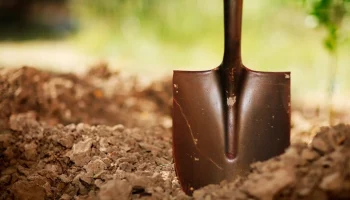 Полиция Молдавии спасла закопанного заживо мужчину спустя 4 дня