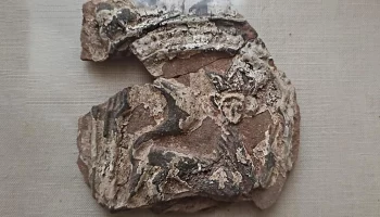 Московские археологи нашли 400-летние изразцы с кошками в коронах