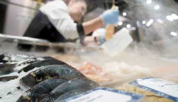 ФАС проводит анализ цен на рыбную продукцию &laquo;от рыболовов до магазинов&raquo;