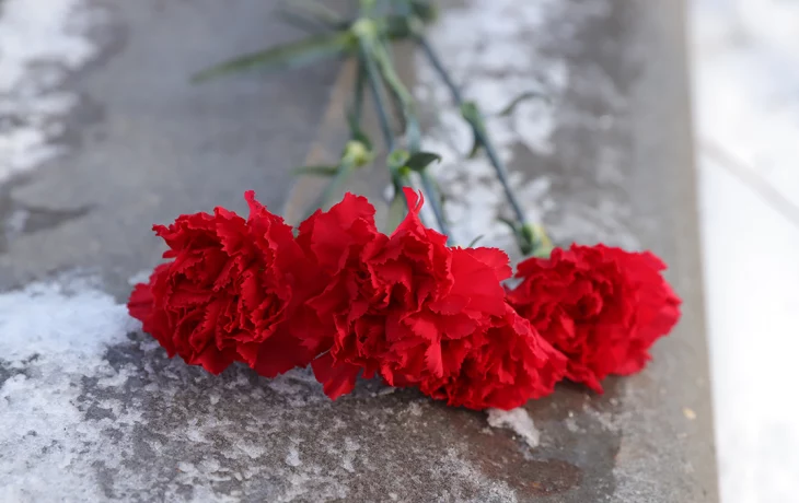 К 8 марта не наладится: в России ожидается дефицит и подорожание гвоздик К 8 марта не наладится: в России ожидается дефицит и подорожание гвоздик