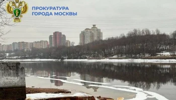 Прокуратура начала проверку сведений о загрязнении Москвы-реки в районе Марьино
