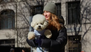 Синоптик Ильин рассказал, когда в Москве ожидается резкое потепление