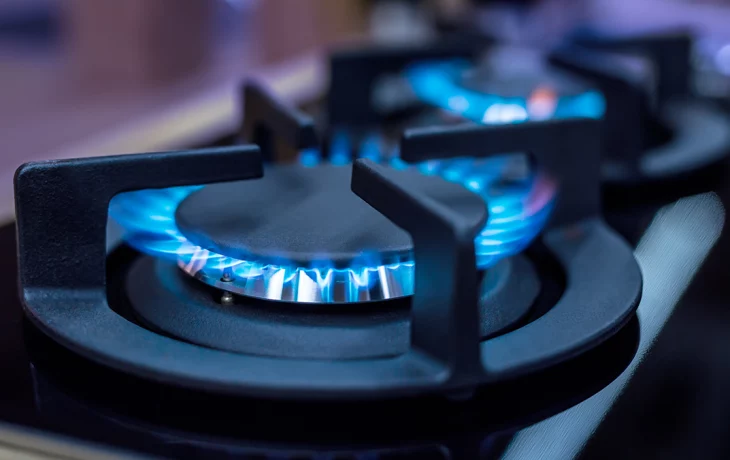 Путин поручил правительству утвердить графики догазификации СНТ к августу Путин поручил правительству утвердить графики догазификации СНТ к августу