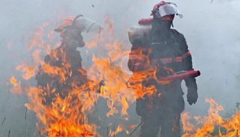 Возникший после отражения атаки БПЛА пожар в Тульской области сняли на видео