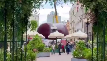 Огромную черешню установили на Арбате в Москве