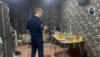 СК обнаружил в анализах отравившихся под Красноярском следы вещества, входящего в дихлофос