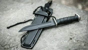 Прокуратура организовала проверку после нападения на школьника в Подмосковье Прокуратура организовала проверку после нападения на школьника в Подмосковье