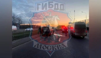 Два человека погибли в результате наезда автомобиля в ТиНАО