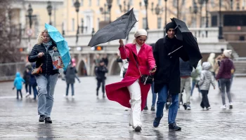 &laquo;Желтый&raquo; уровень опасности объявили из-за ветра в столичном регионе 26 июня