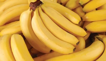Экспорт бананов из Эквадора в РФ идет без перебоев, несмотря на ситуацию в стране