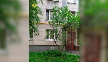 Выпавшая из окна девятого этажа в Москве девочка скончалась в больнице
