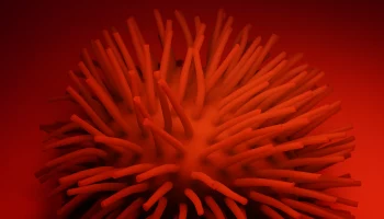 Вирус эволюционирует: почему рано называть COVID-19 сезонным заболеванием