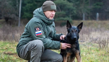 Более 500 кинологов прошли обучение для работы в зоне СВО