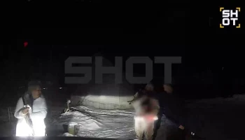 В Подмосковье агрессивная собака напала на женщину, разорвав двух ее питомцев