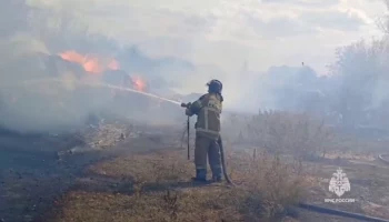 Режим ЧС введен в Ростовской области из-за пожаров