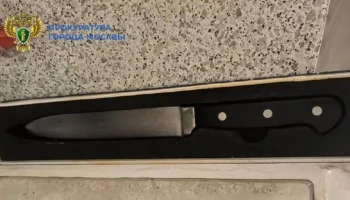 Уголовное дело возбуждено против мужчины, похитившего и убившего собаку в ТиНАО