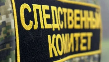 ТАСС: мать пропавших в Твери детей могла их забрать