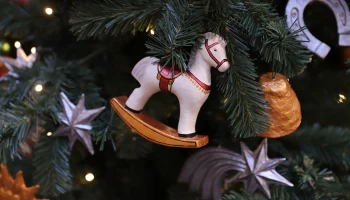 Метеоролог Позднякова рассказала, ждать ли в Москве снег на Новый год