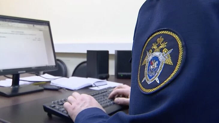 СК завел уголовное дело на мужчину, спонсировавшего нежелательную организацию СК завел уголовное дело на мужчину, спонсировавшего нежелательную организацию