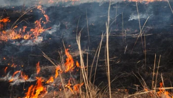 LCI: на юге Франции лесной пожар охватил территорию площадью более 680 га