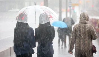 Синоптики сообщили о дождливой погоде в Москве 18 октября