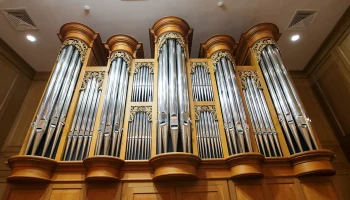 «Орган в Царицыне» и «Собаки датского двора»: куда сходить в Москве на выходных