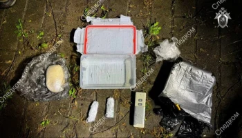 В Москве предотвращен теракт, готовившийся спецслужбами Украины