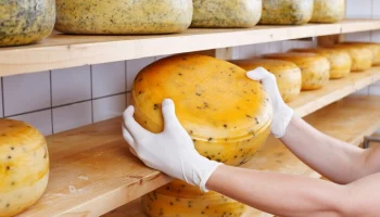 Россия впервые ввезла сыр из Китая