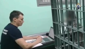 Женщине, убившей сына в Балашихе, предъявлено обвинение