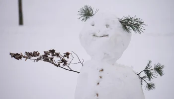 Вильфанд: Снег покрыл 95 процентов территории России Вильфанд: Снег покрыл 95 процентов территории России