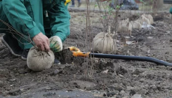 Около тысячи дворов обновили в Москве на средства от платных парковок