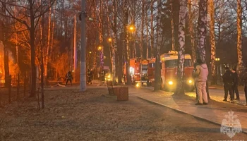 Площадь пожара в кафе в парке &laquo;Сокольники&raquo; увеличилась в два раза
