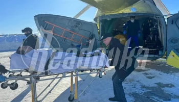 Чибиса транспортируют санавиацией в Мурманск