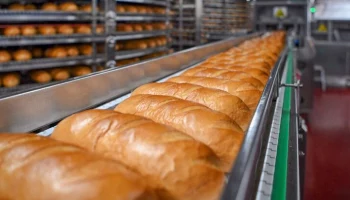 Современный хлебозавод появится в пищевом кластере в ТиНАО