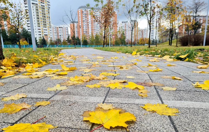 Короткое похолодание: какой будет погода в Москве в первую неделю октября