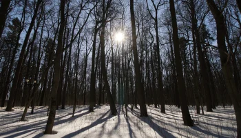 Синоптик Вильфанд рассказал о погоде в первые дни весны в Москве