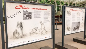 Около 35 тысяч человек посетители выставку &laquo;Четвероногие герои&raquo; на площадке музея &laquo;Г.О.Р.А.&raquo;