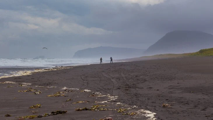 Землетрясение магнитудой 7,8 произошло в районе Камчатки Землетрясение магнитудой 7,8 произошло в районе Камчатки