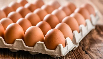 В Росптицесоюзе рассказали, что будет с ценами на яйца