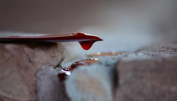 Тело женщины с ножевыми ранениями обнаружено в квартире жилого дома в Москве