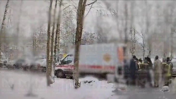 Спасатели помогли доставить в больницу жителя Петербурга весом 300 кг Спасатели помогли доставить в больницу жителя Петербурга весом 300 кг